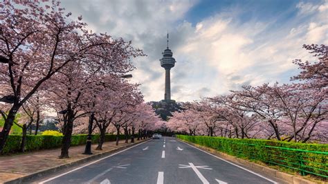 대구 홈타이: 대구의 밤을 빛내는 새로운 트렌드